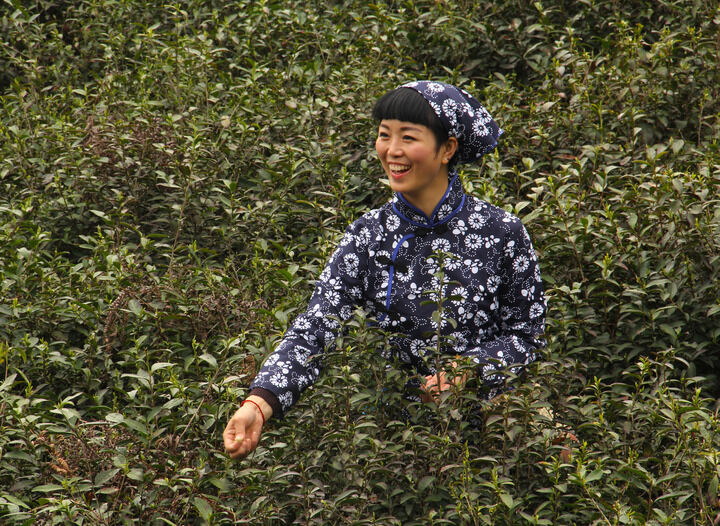 韩美女主播热午 暗夜